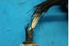 Picture of Used Vintage Bendix Helicopter Handle P/N: PM22880-1 (26158)