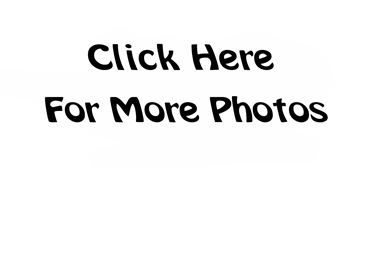 Picture for category 2011 Cessna T182T Photos