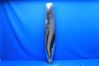 Picture of Used Aircraft Polished Hartzell Propeller Blade Core - Display pn 8433-4 (23210)